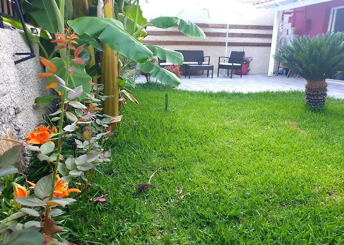 Prázdninový dům Aloe House