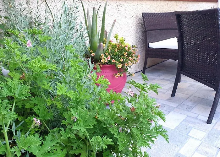 Prázdninový dům Aloe House