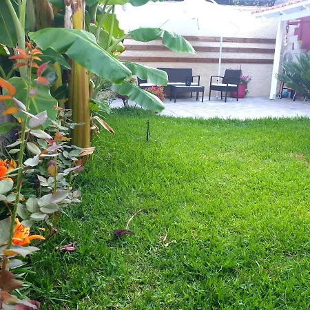 Dom wakacyjny Aloe House