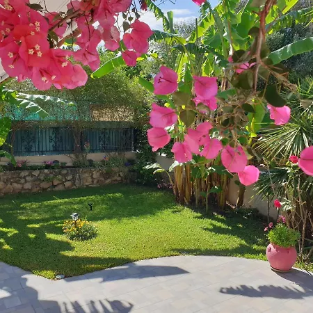 Aloe House Semesterbostad *