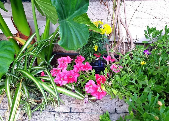 Σπίτι διακοπών Aloe House