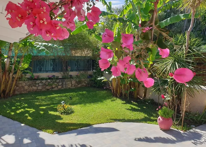 Aloe House Дом отдыха *