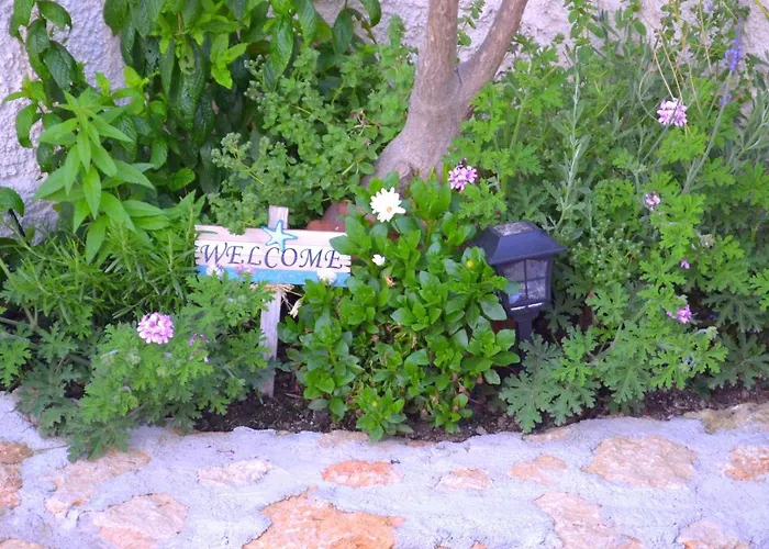 Дом отдыха Aloe House *