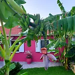 Aloe House *